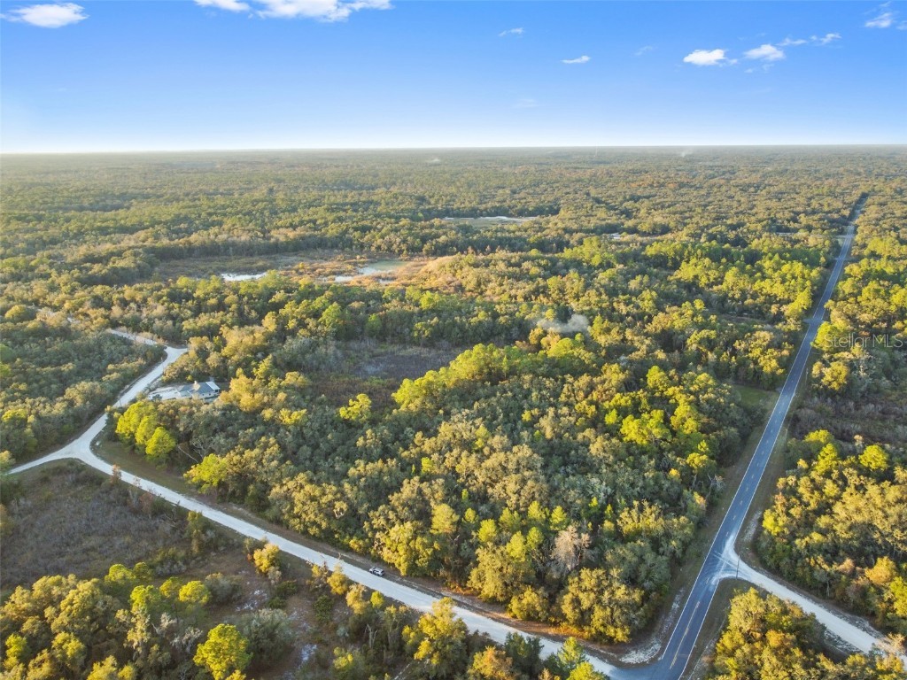 Riverstone Street Webster FL 33597 TB8448266 image11