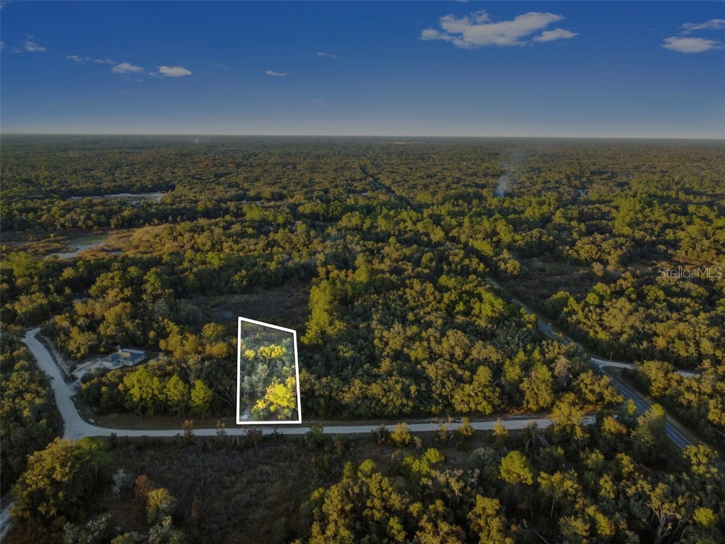 Riverstone Street Webster FL 33597 TB8448266 image2