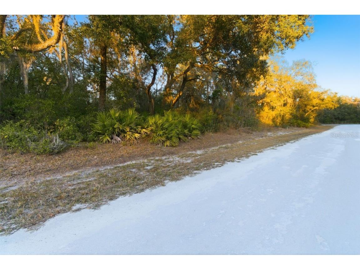 Riverstone Street Webster FL 33597 TB8448266 image3