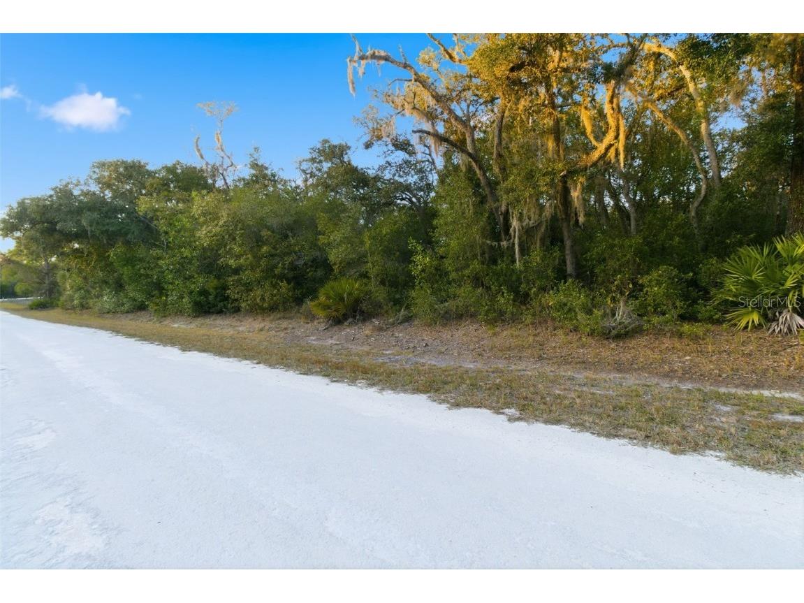 Riverstone Street Webster FL 33597 TB8448266 image4