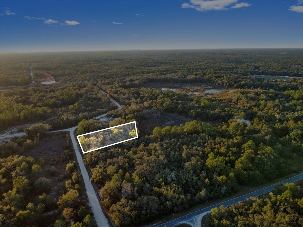 Riverstone Street Webster FL 33597 TB8448266 image5