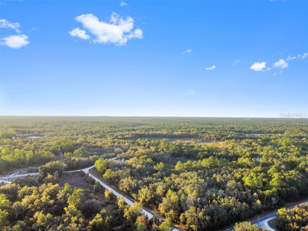 Riverstone Street Webster FL 33597 TB8448266 image6