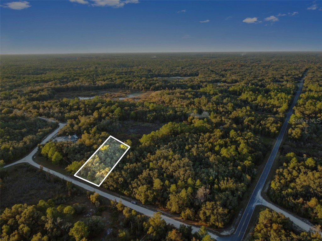 Riverstone Street Webster FL 33597 TB8448266 image8