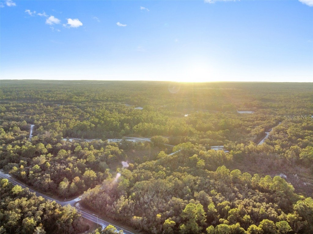 Riverstone Street Webster FL 33597 TB8448266 image9