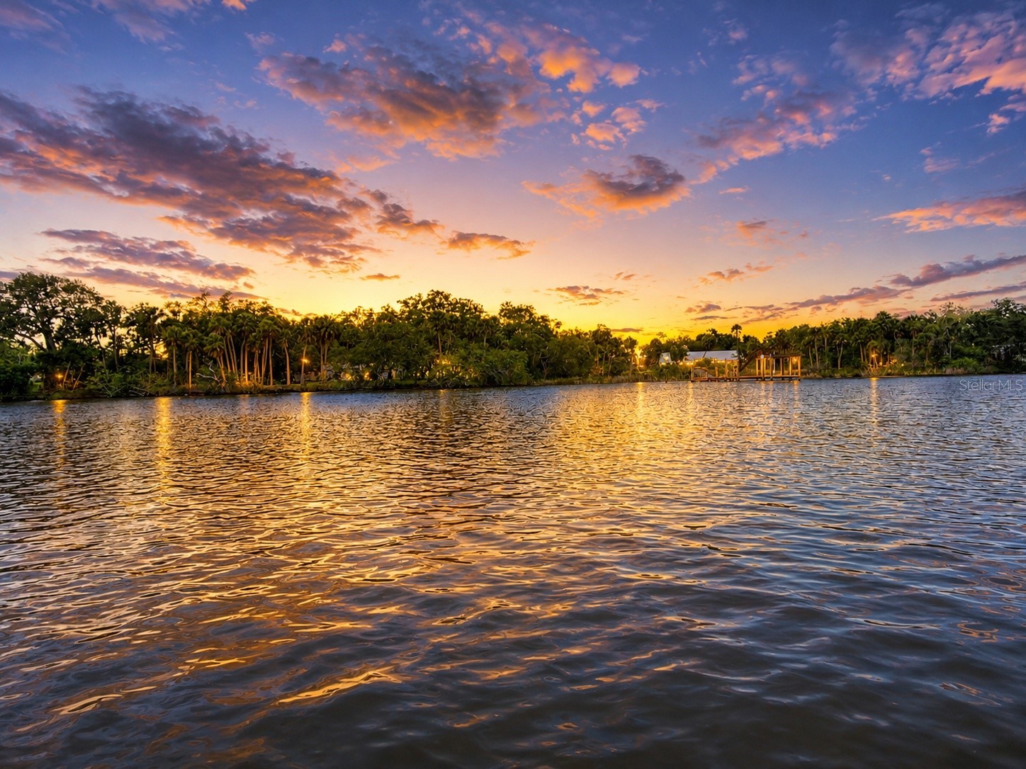 Riverview Drive Riverview FL 33578 TB8513653 image1
