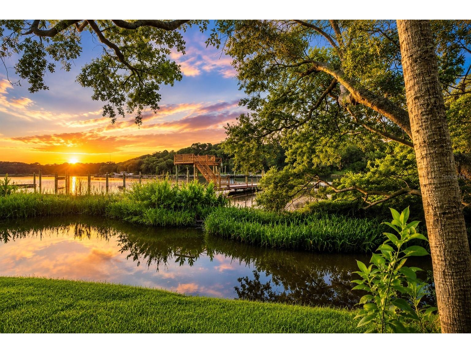 Riverview Drive Riverview FL 33578 TB8513653 image8