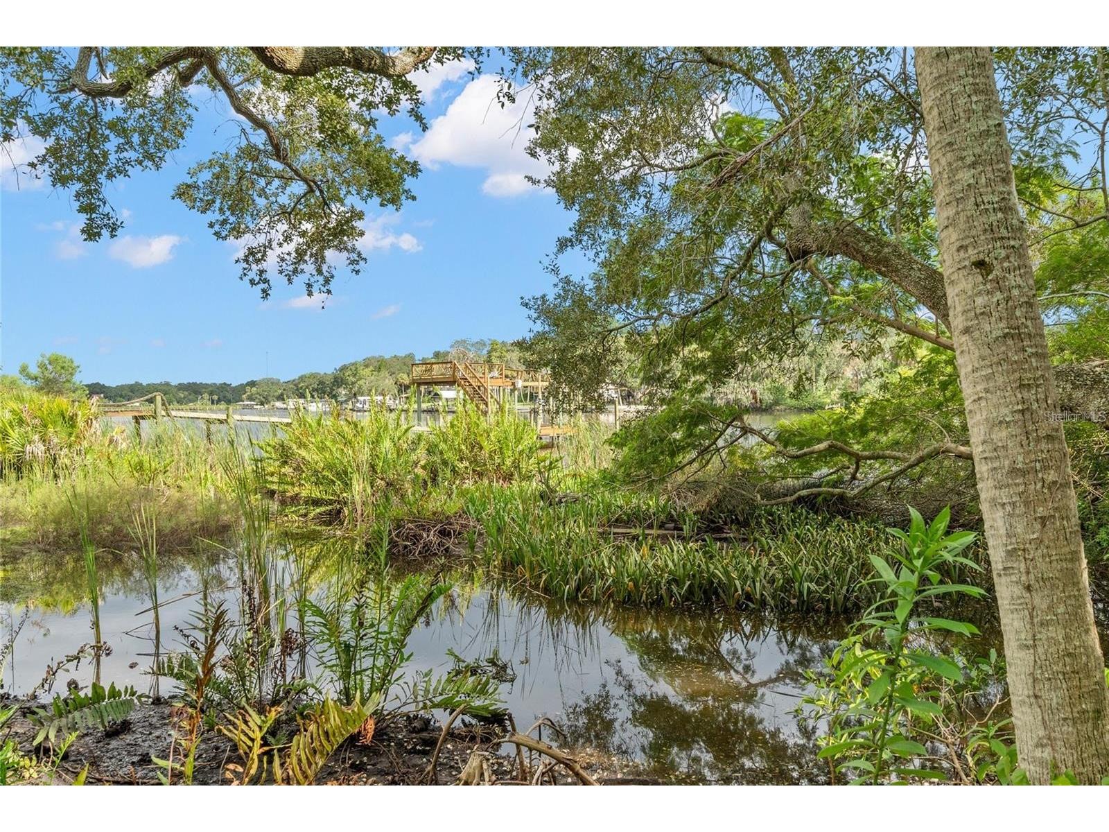 Riverview Drive Riverview FL 33578 TB8513653 image9