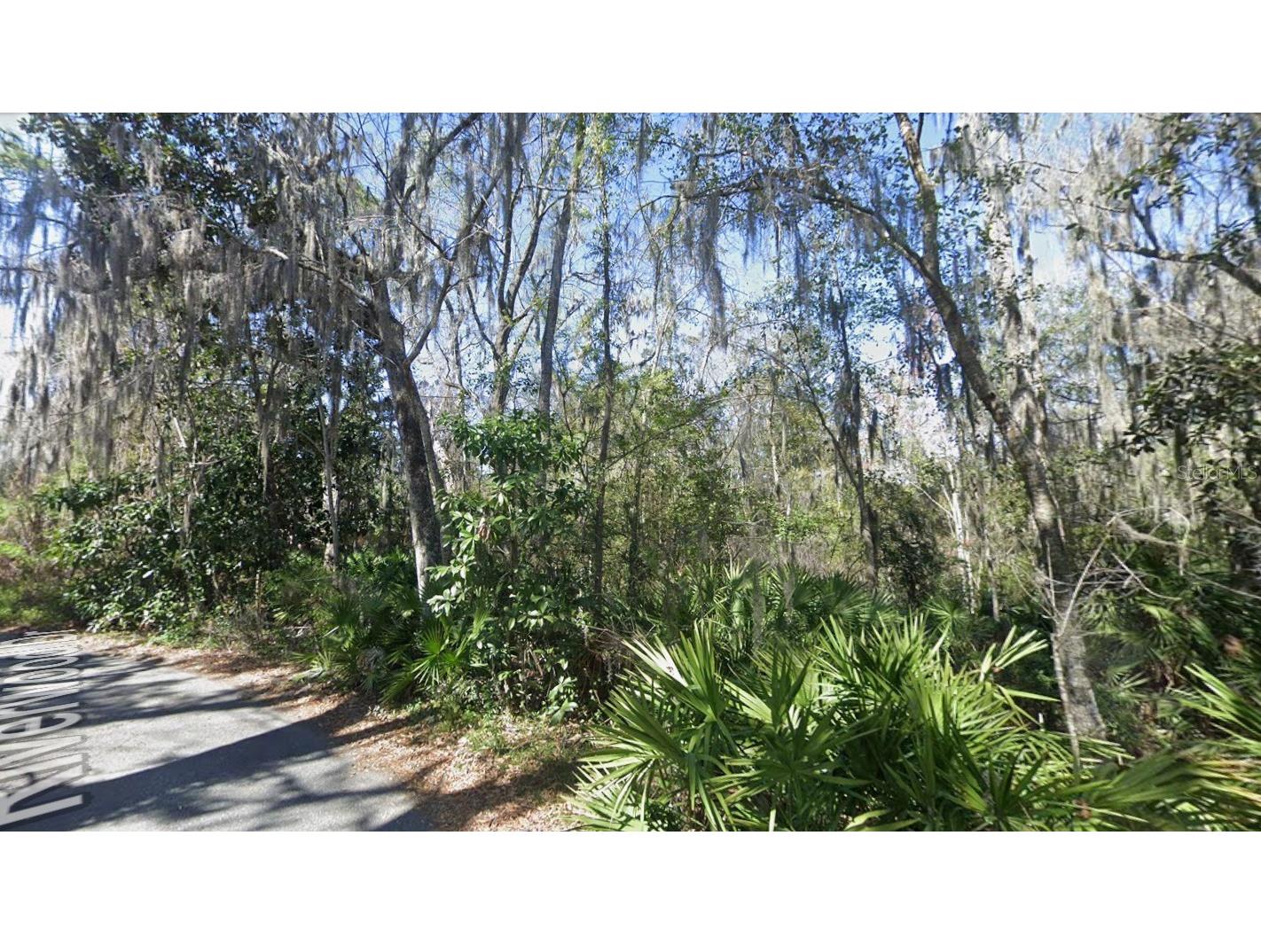 Riverwood Drive Fleming Island FL 32003 V4949642 image1