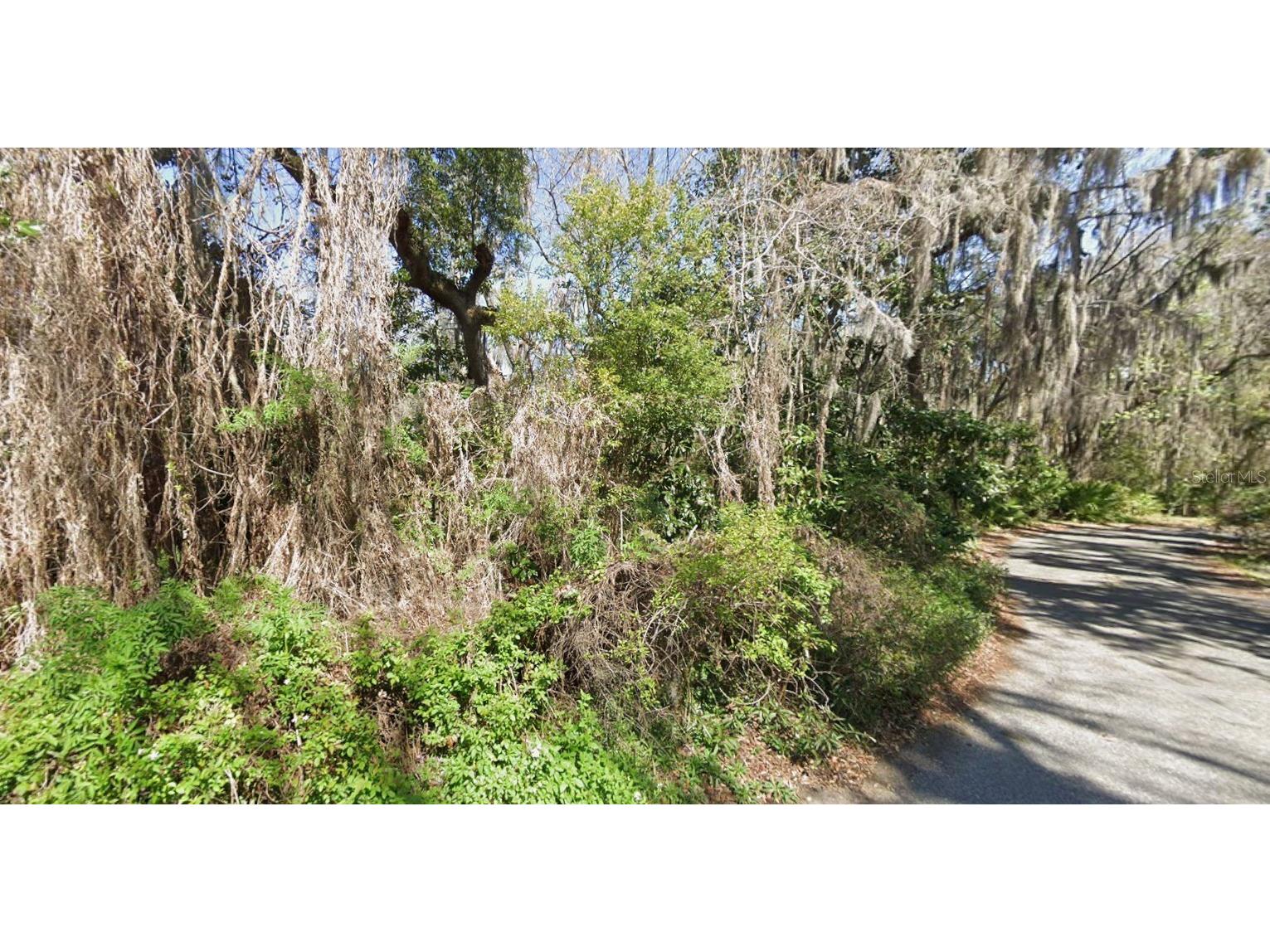 Riverwood Drive Fleming Island FL 32003 V4949642 image10