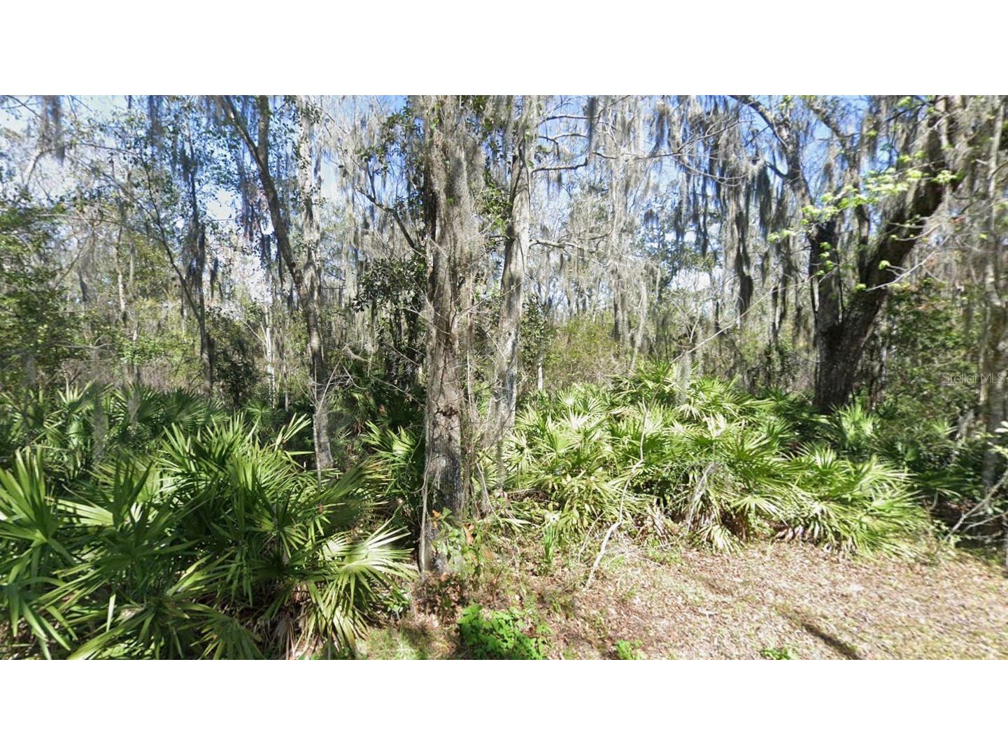 Riverwood Drive Fleming Island FL 32003 V4949642 image8