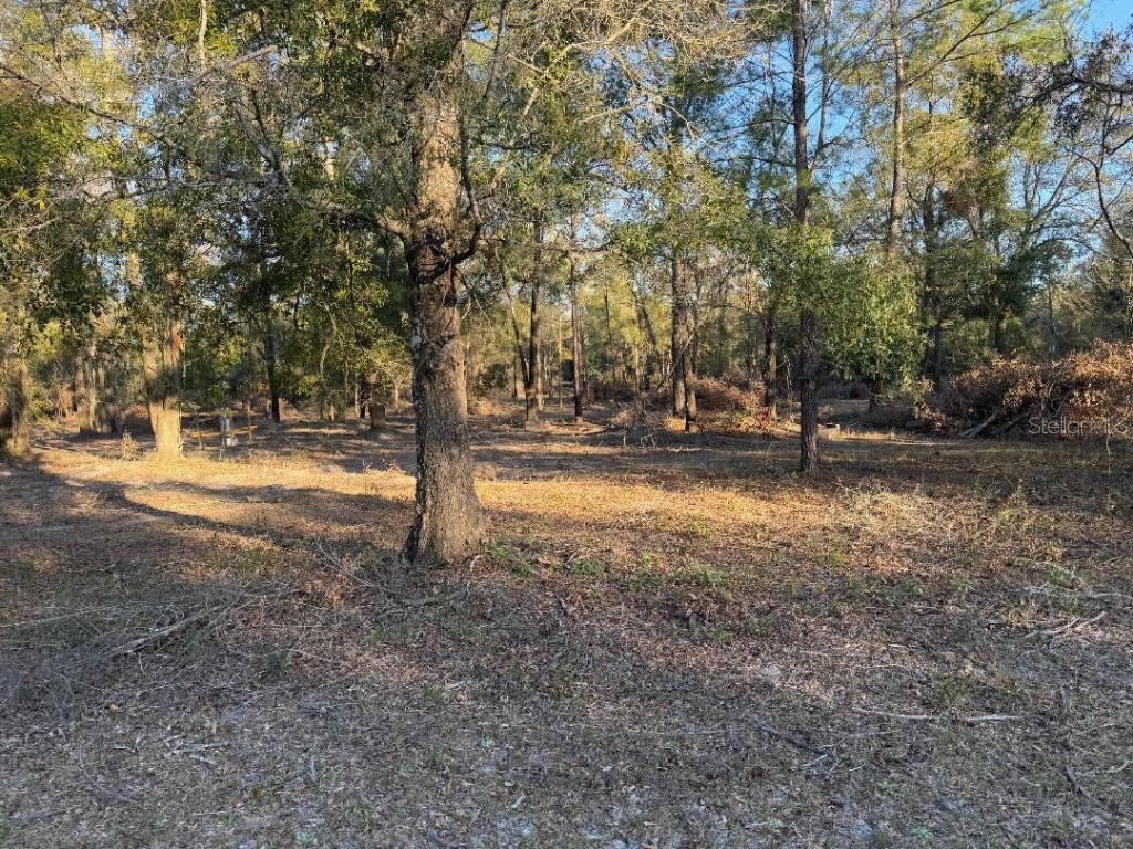 Roanoke Terrace Fort White FL 32038 GC529167 image1