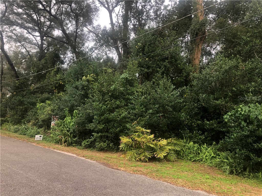 Robert Drive Seffner FL 33584 L4920285 image1