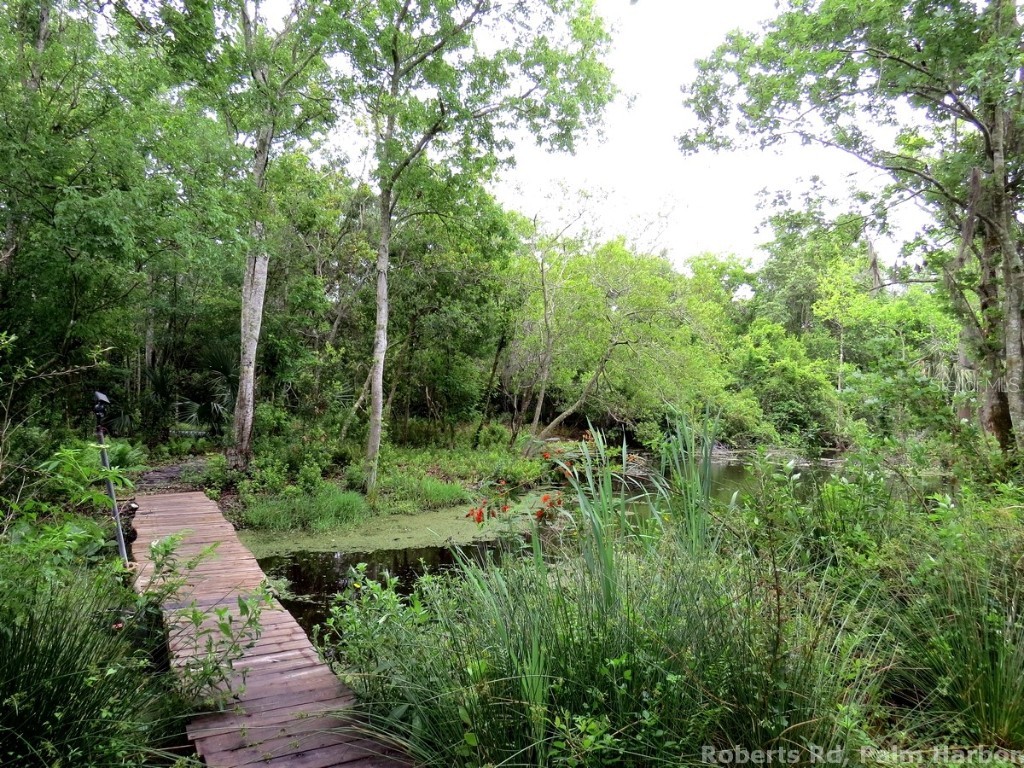 Roberts Road Palm Harbor FL 34683 TB8348513 image10
