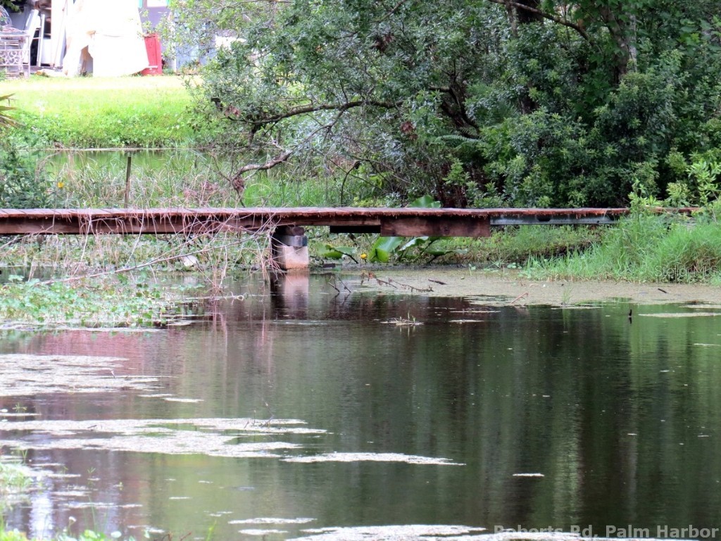 Roberts Road Palm Harbor FL 34683 TB8348513 image11
