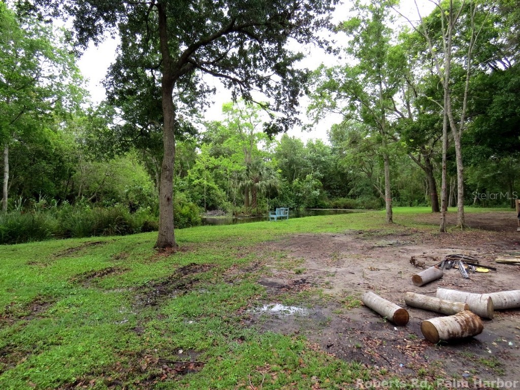 Roberts Road Palm Harbor FL 34683 TB8348513 image12