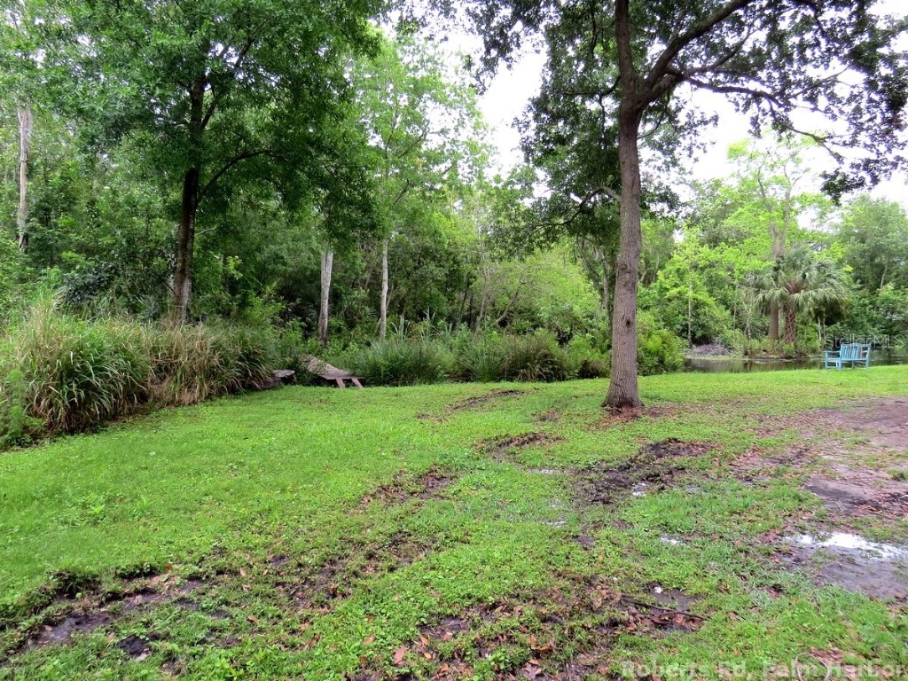 Roberts Road Palm Harbor FL 34683 TB8348513 image13