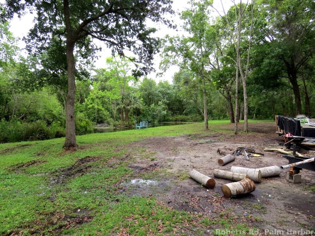 Roberts Road Palm Harbor FL 34683 TB8348513 image14