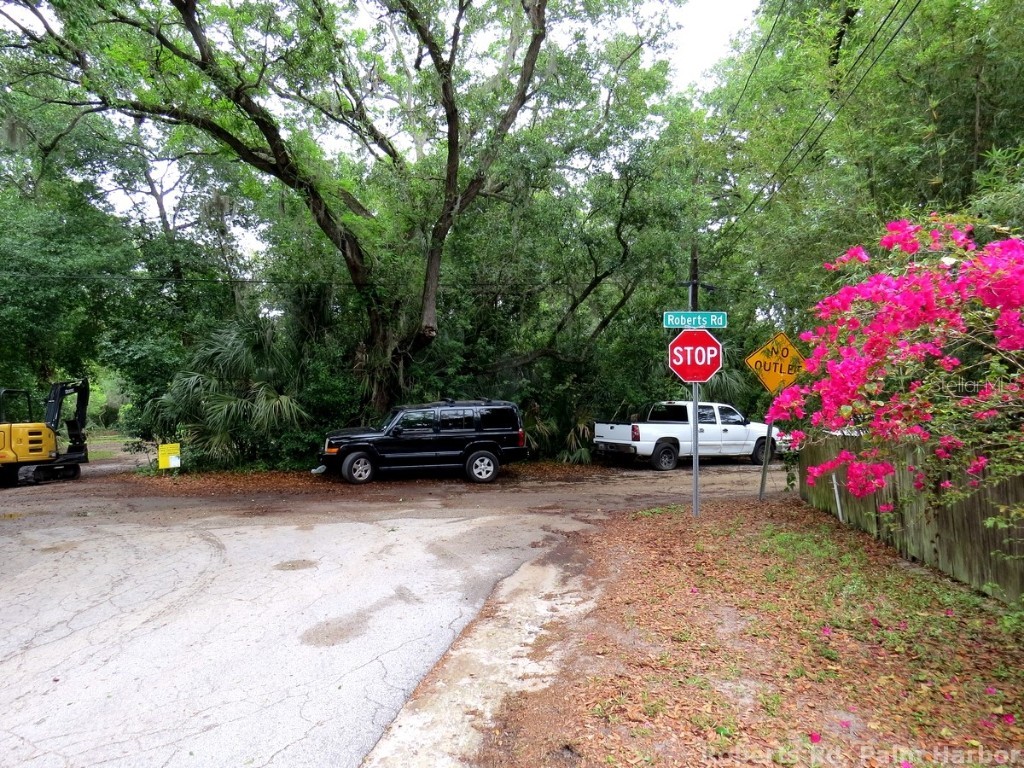 Roberts Road Palm Harbor FL 34683 TB8348513 image7