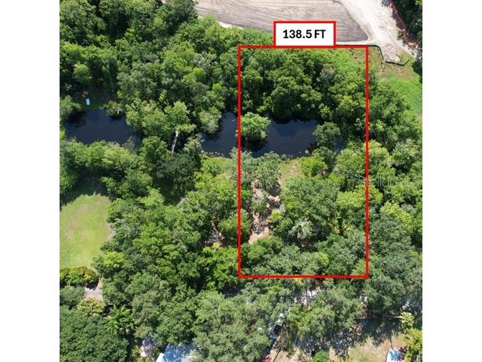 Roberts Road Palm Harbor FL 34683 TB8348521 image1
