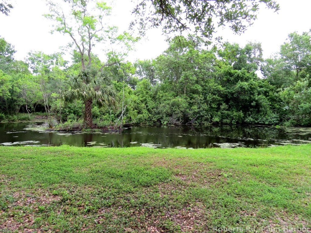 Roberts Road Palm Harbor FL 34683 TB8348521 image11