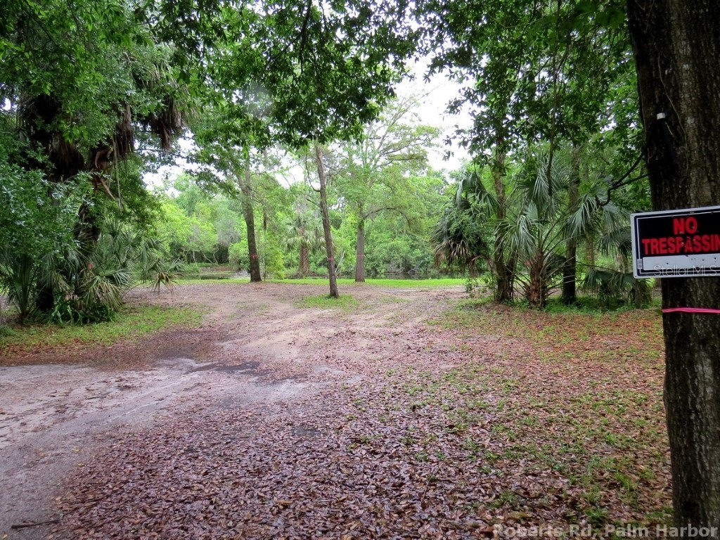 Roberts Road Palm Harbor FL 34683 TB8348521 image12