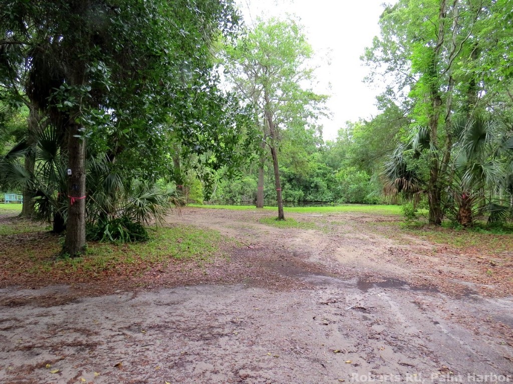 Roberts Road Palm Harbor FL 34683 TB8348521 image13