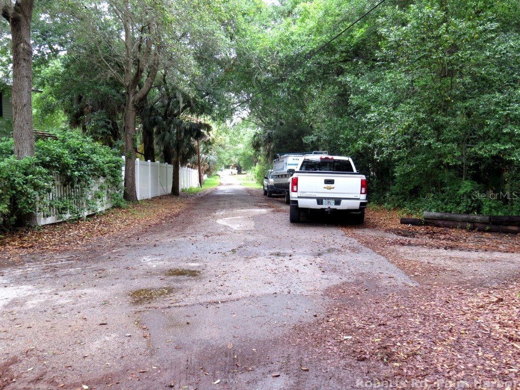 Roberts Road Palm Harbor FL 34683 TB8348521 image14