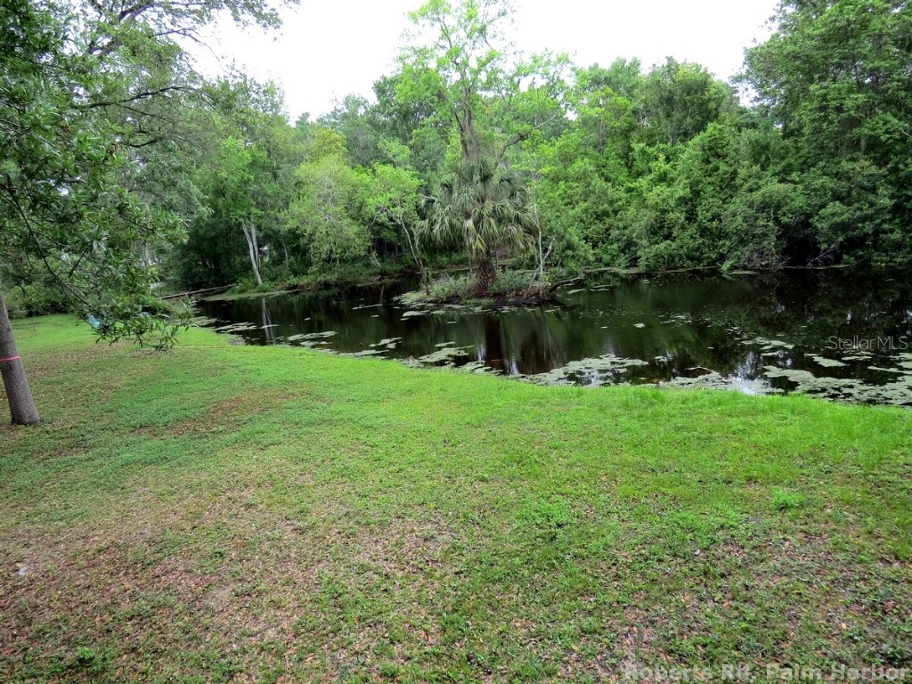 Roberts Road Palm Harbor FL 34683 TB8348521 image18