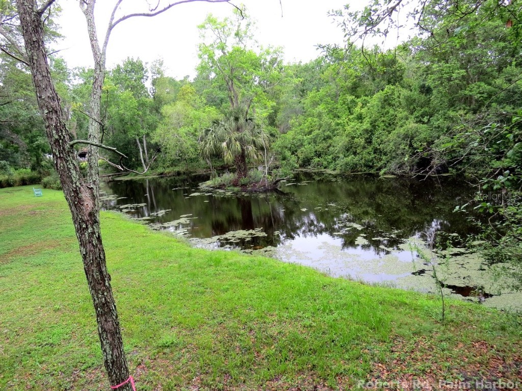 Roberts Road Palm Harbor FL 34683 TB8348521 image19