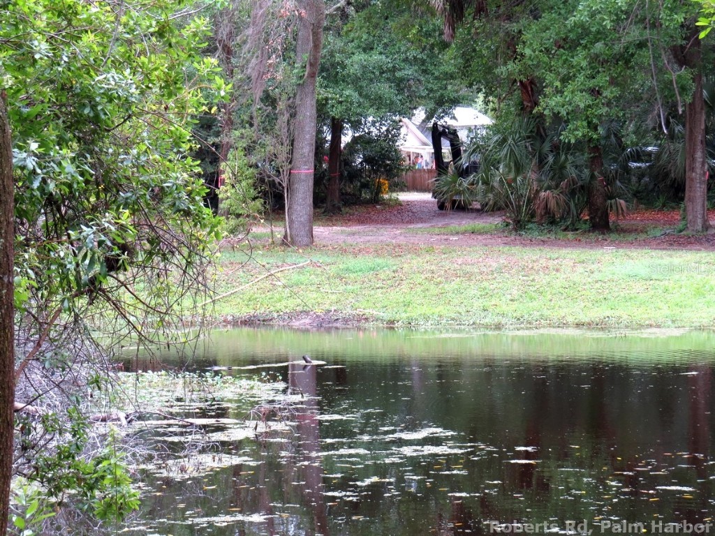 Roberts Road Palm Harbor FL 34683 TB8348521 image2