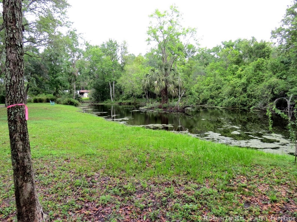 Roberts Road Palm Harbor FL 34683 TB8348521 image20
