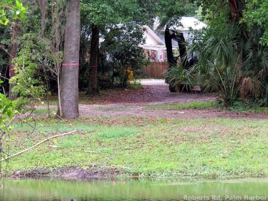 Roberts Road Palm Harbor FL 34683 TB8348521 image3