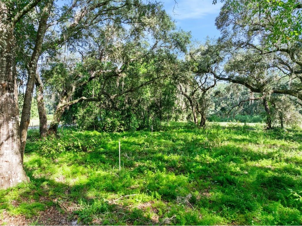 Roberts Road Pierson FL 32180 FC313689 image33