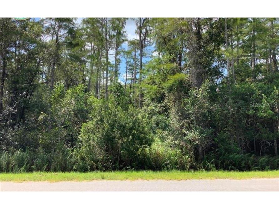 Robertson Street Orlando FL 32833 O6187774 image1