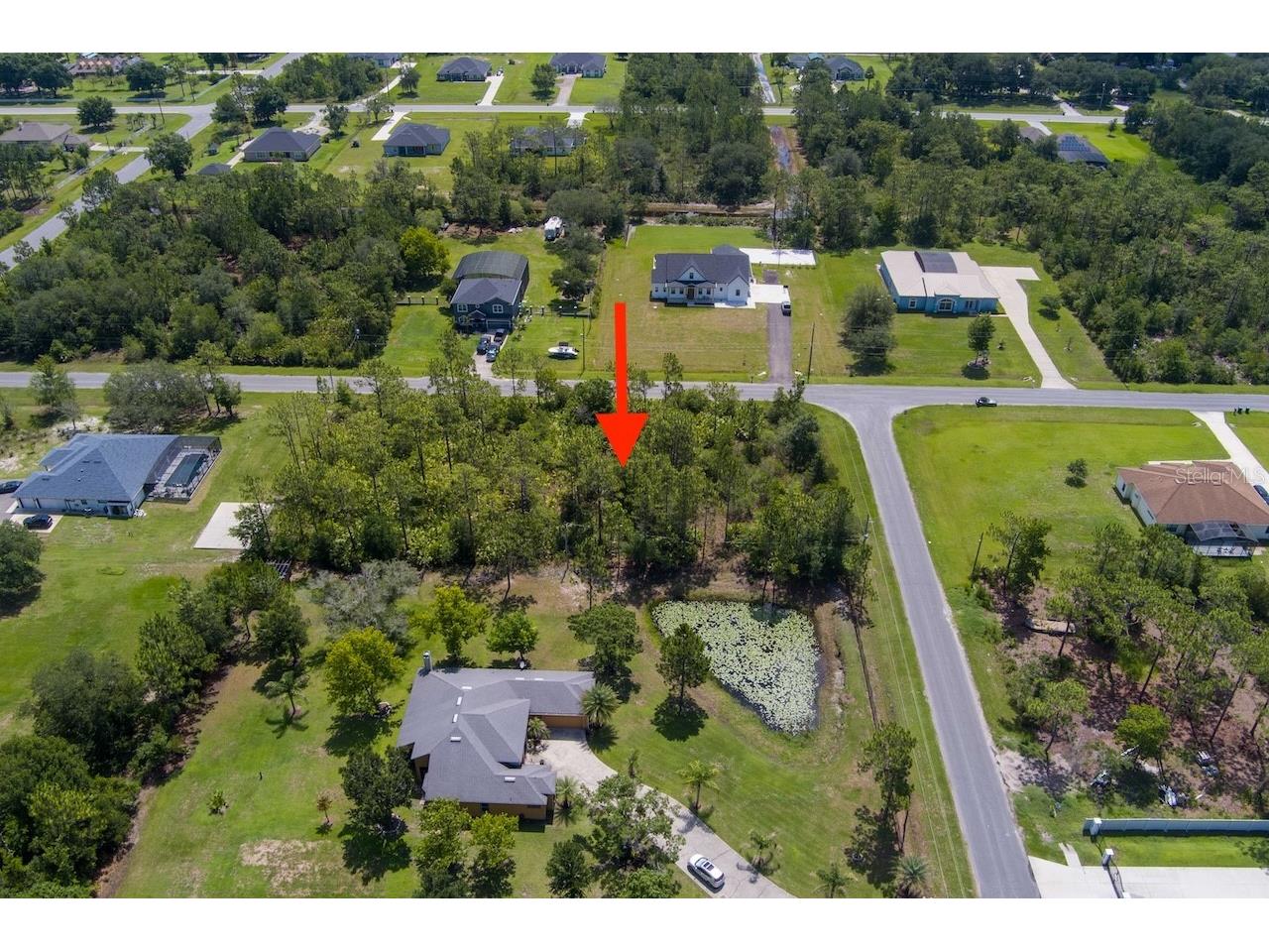 Robertson Street Orlando FL 32833 O6422810 image3