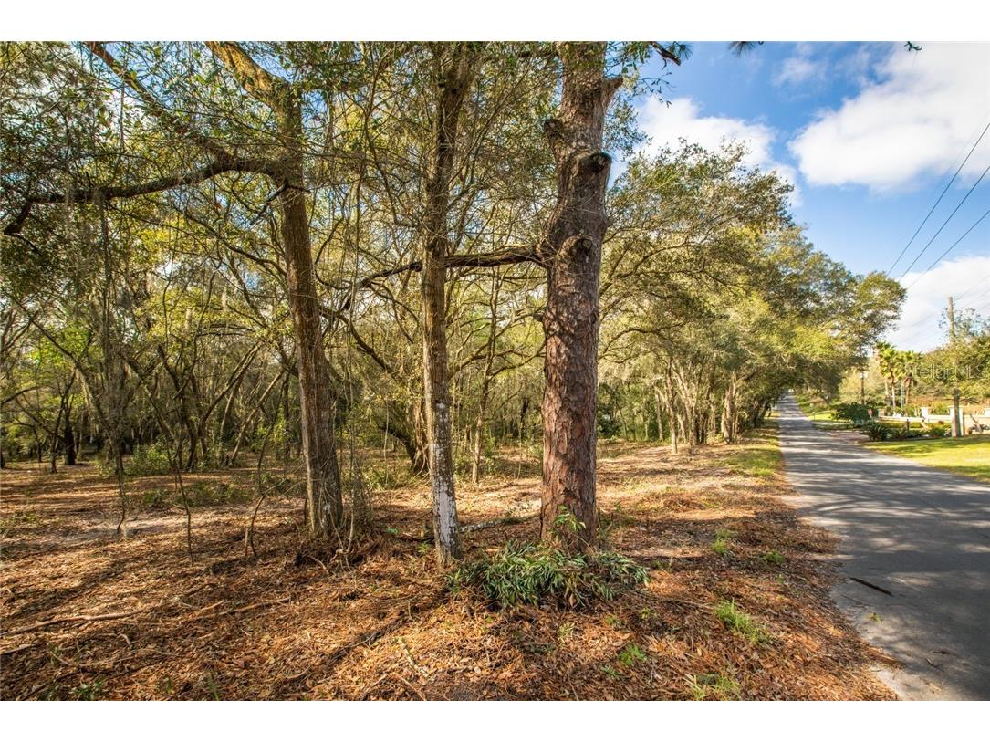 Robie Avenue Mount Dora FL 32757 G5039235 image1