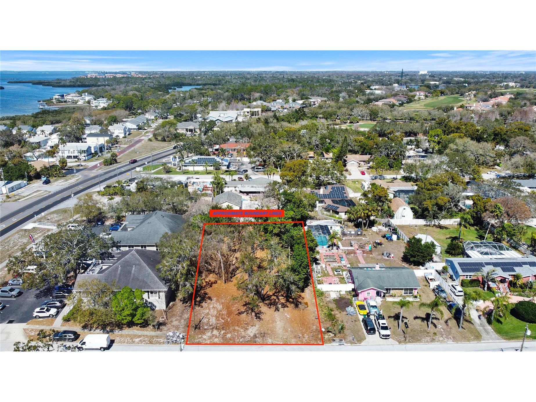Robin Avenue Palm Harbor FL 34683 TB8482631 image3