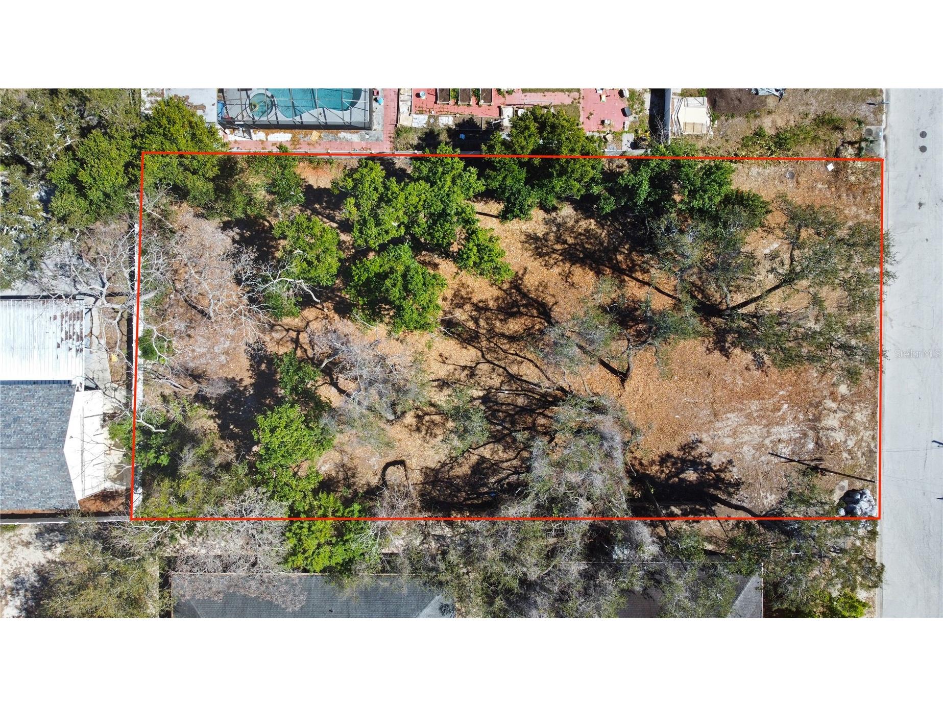 Robin Avenue Palm Harbor FL 34683 TB8482631 image4