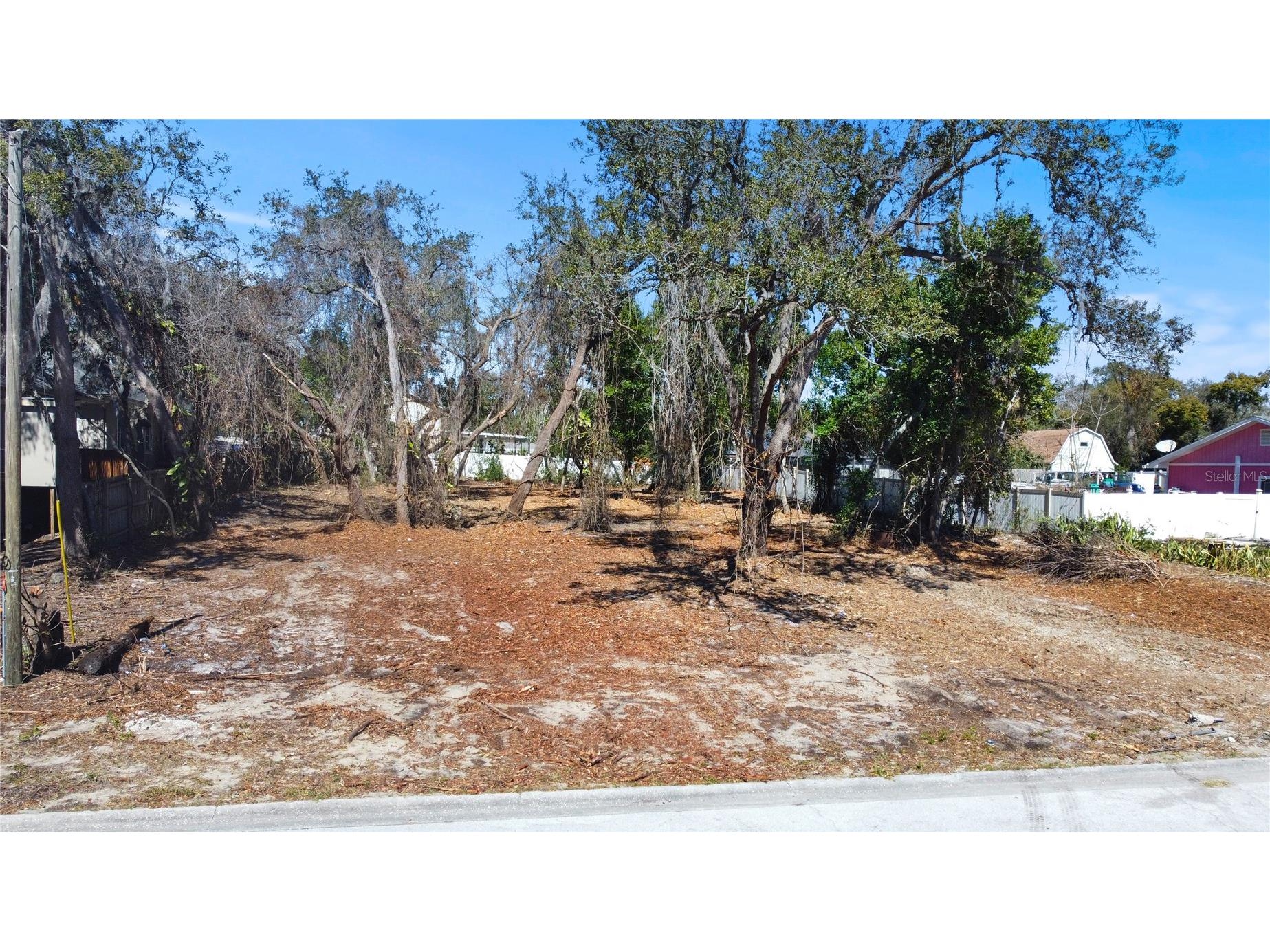 Robin Avenue Palm Harbor FL 34683 TB8482631 image5
