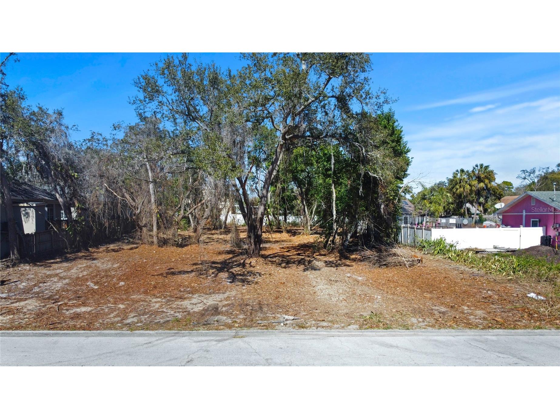 Robin Avenue Palm Harbor FL 34683 TB8482631 image6