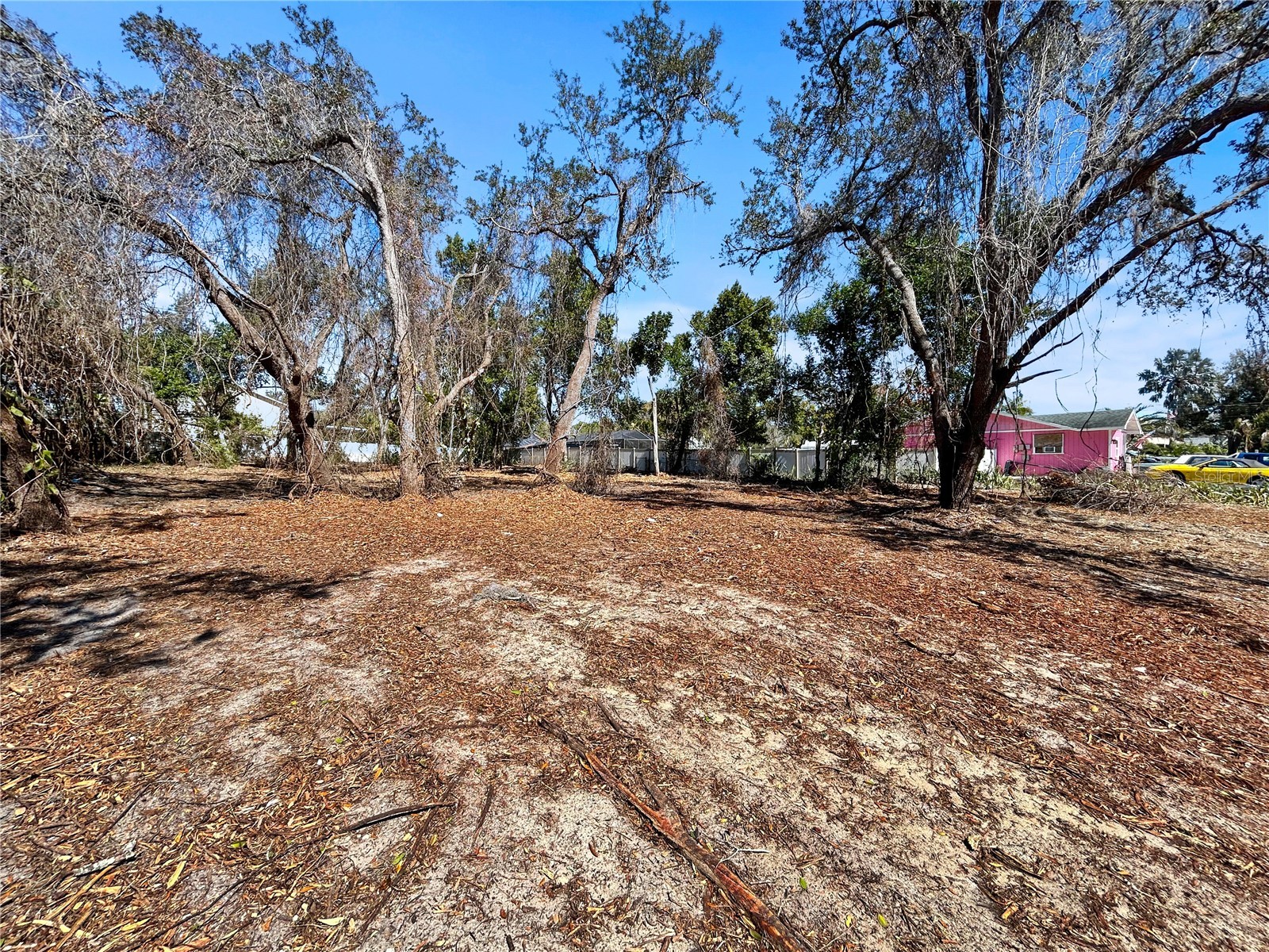 Robin Avenue Palm Harbor FL 34683 TB8482631 image7