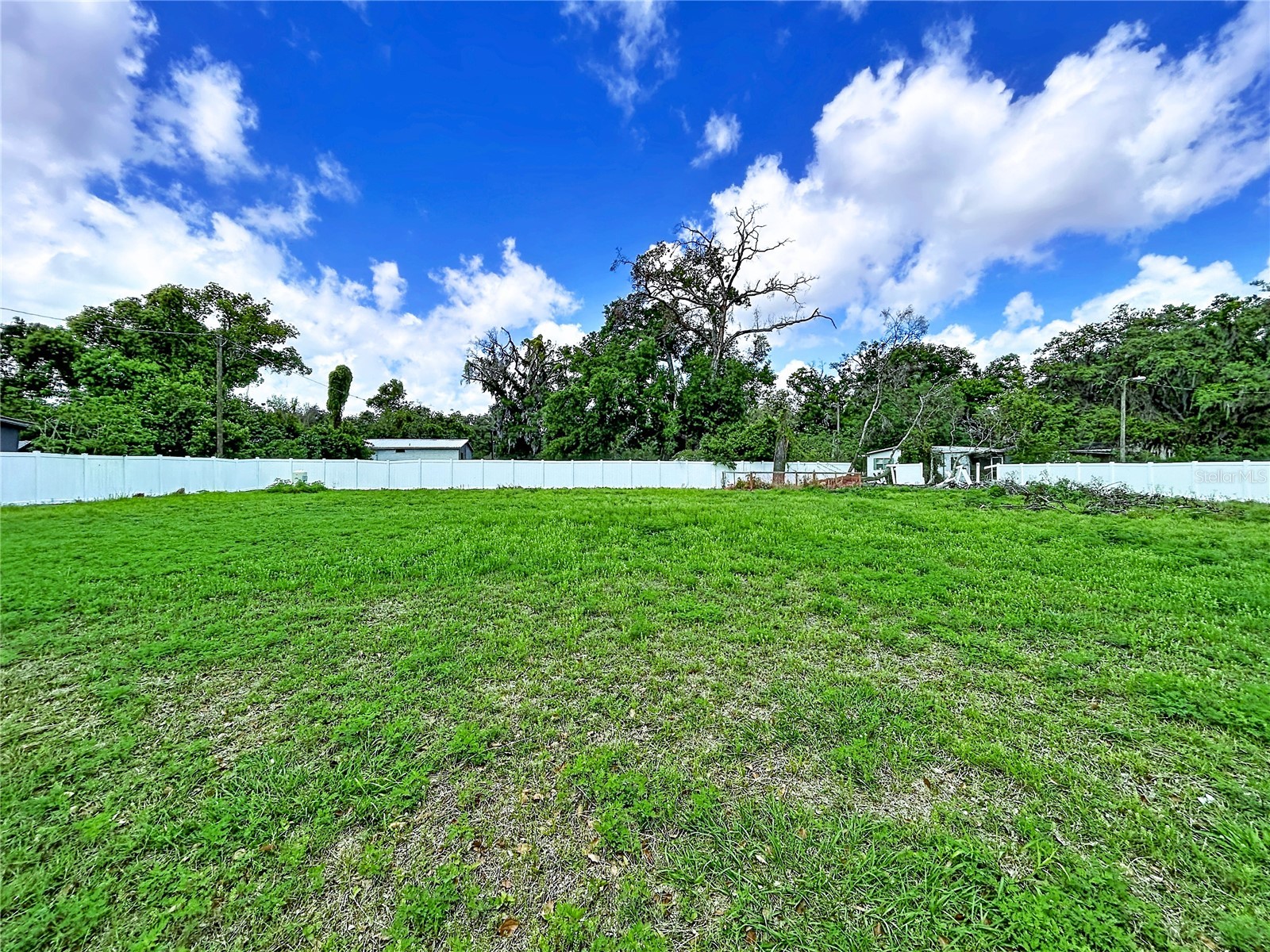 Robson Seffner FL 33584 TB8497836 image1