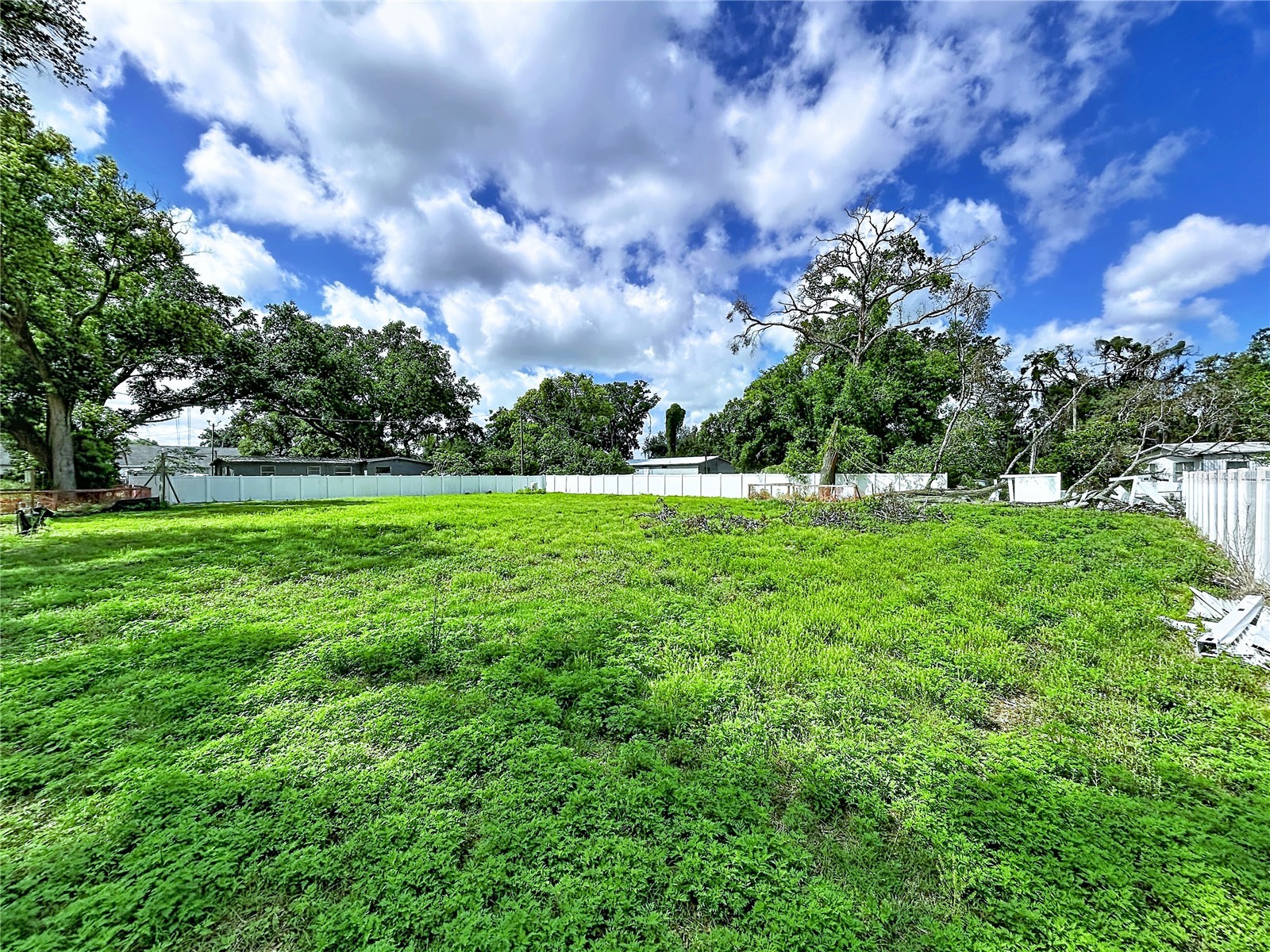 Robson Seffner FL 33584 TB8497836 image2
