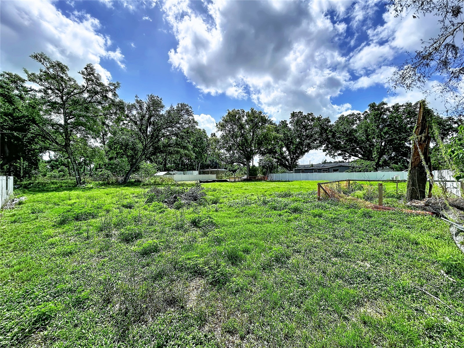 Robson Seffner FL 33584 TB8497836 image4