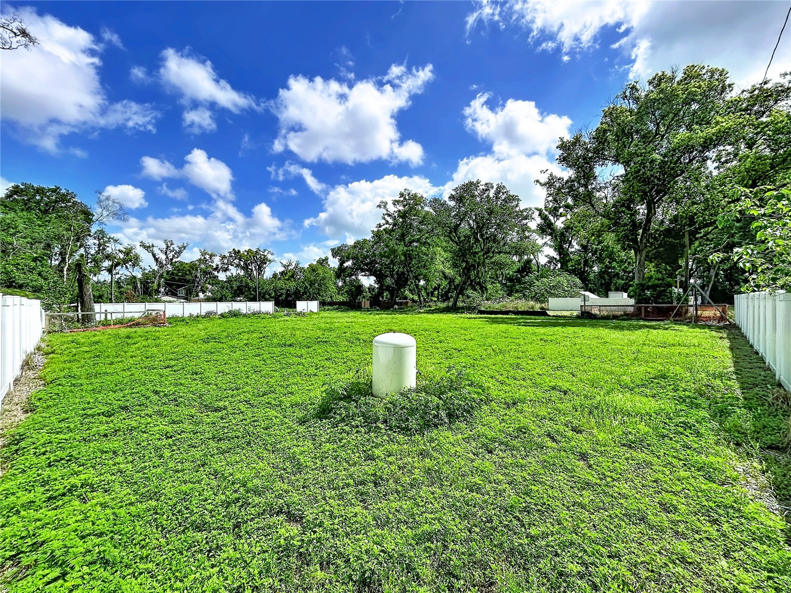 Robson Seffner FL 33584 TB8497836 image6