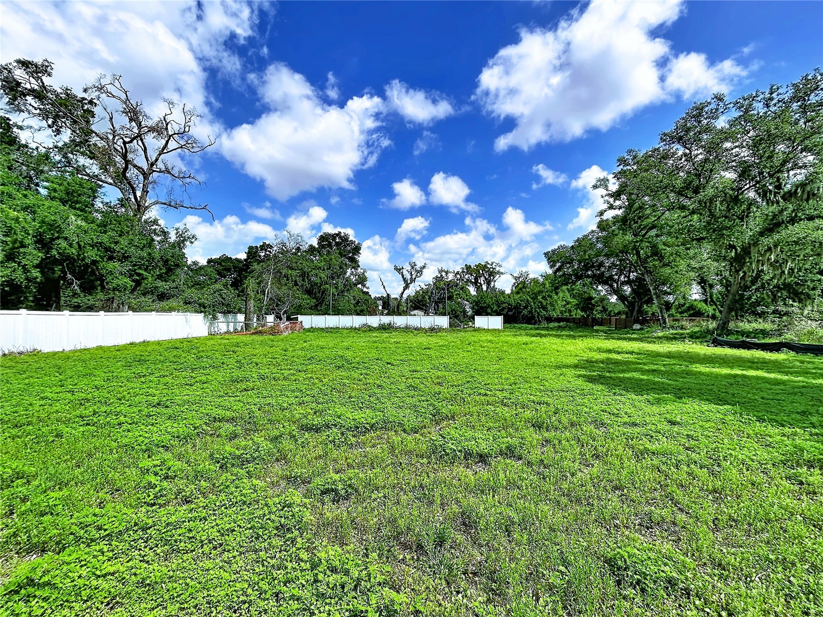 Robson Seffner FL 33584 TB8497836 image7