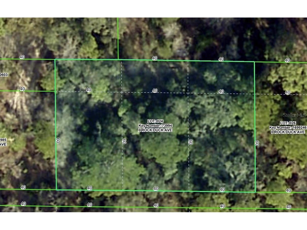 Rock Duck Avenue Brooksville FL 34614 W7879473 image1