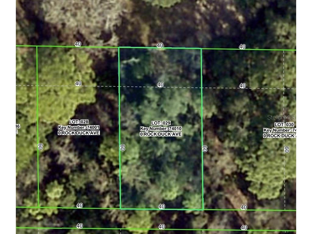 Rock Duck Avenue Brooksville FL 34614 W7879474 image1