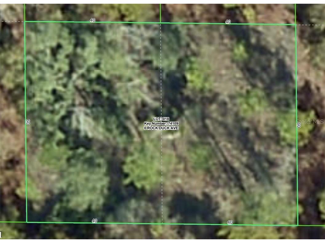 Rock Duck Avenue Brooksville FL 34614 W7879486 image1