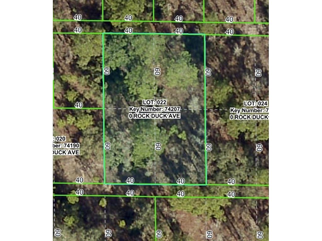 Rock Duck Avenue Brooksville FL 34614 W7879495 image1